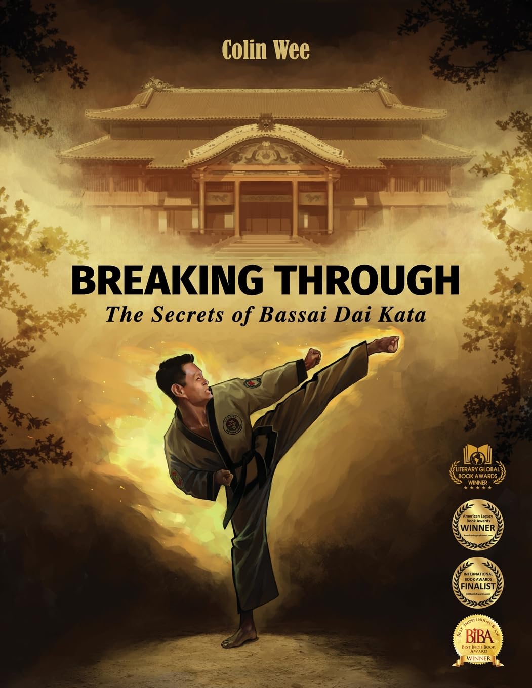 Cover of Breaking Through